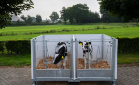 VDK Agri на выставке «Прибыльное животноводство» - 20-22 октября, Краснодар! VDK Agri на выставке «Прибыльное животноводство» - 20-22 октября, Краснодар!